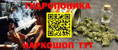 гидропоника Нягань