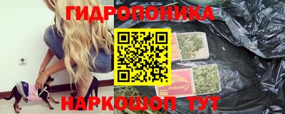твердый Пугачёв