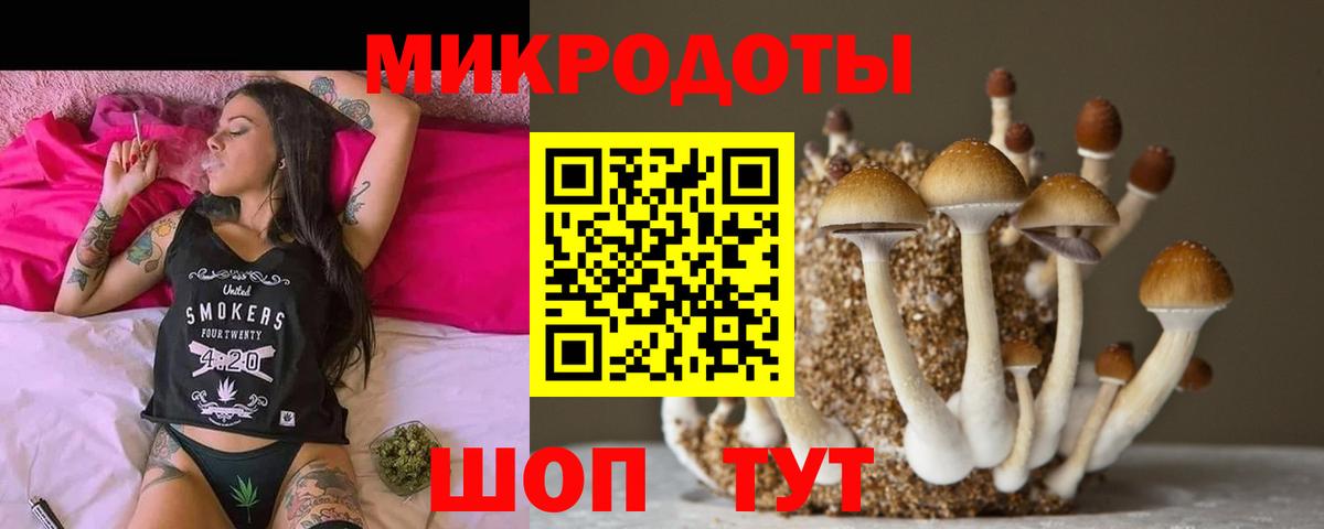 Псилоцибиновые грибы Magic Shrooms Сафоново