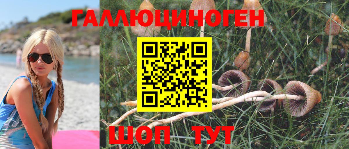 Псилоцибиновые грибы Cubensis  Вход с VPN  Сафоново 